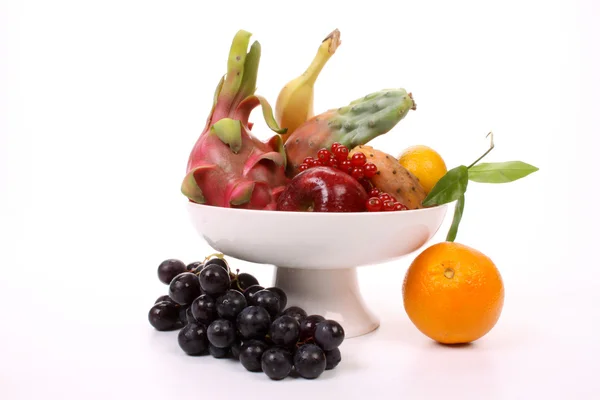 Zusammensetzung aus mehreren Früchten — Stockfoto