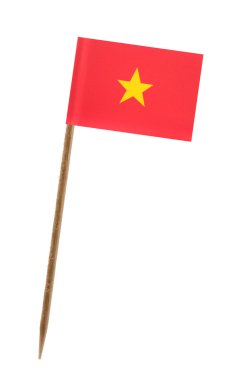 vietnam bayrağı