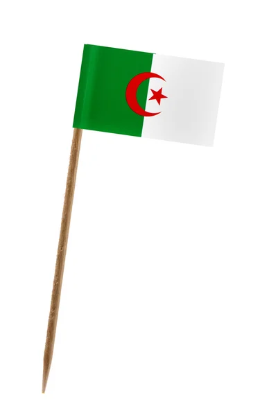 Drapeau de l'Algérie — Photo