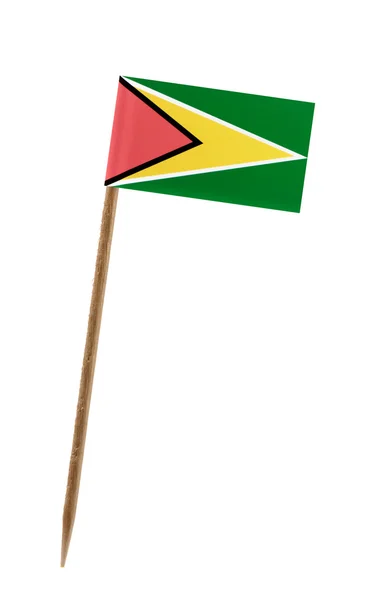 Guyanská vlajka — Stock fotografie