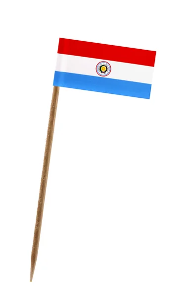 Sijsparaguay Cumhuriyeti bayrağı — Stok fotoğraf