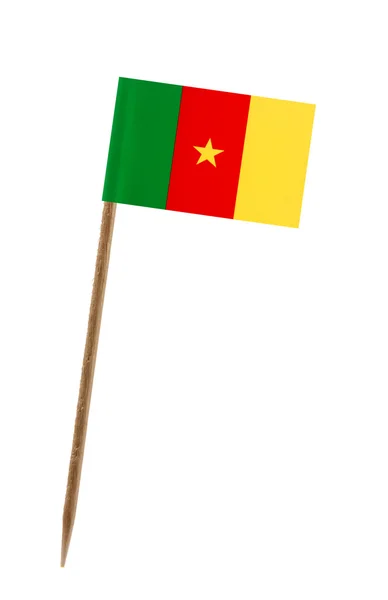 Σημαία του Καμερούν — Φωτογραφία Αρχείου