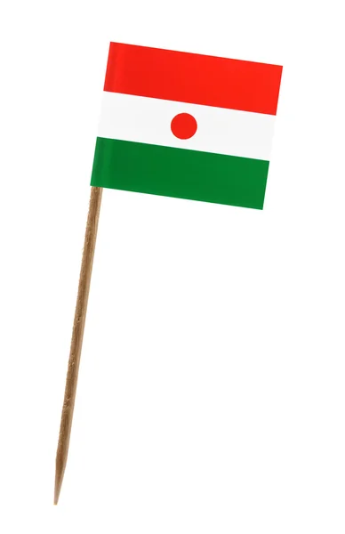 Flagga niger — Stockfoto