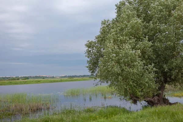 stock image Landscape