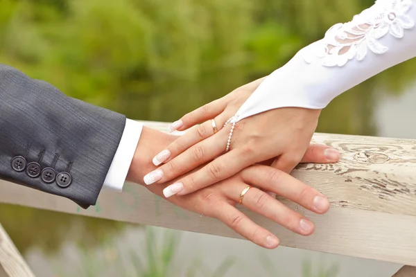 Mãos com anéis de casamento Fotos De Bancos De Imagens