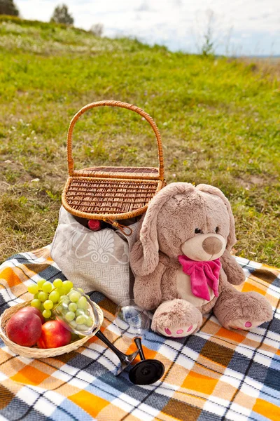 Piknik niteliğine — Stok fotoğraf
