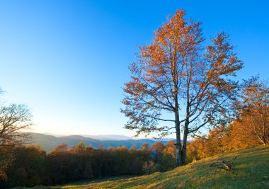 Autumn evening mountain landscape clipart