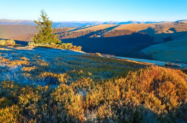 Ранковий осінній гірський пейзаж — стокове фото