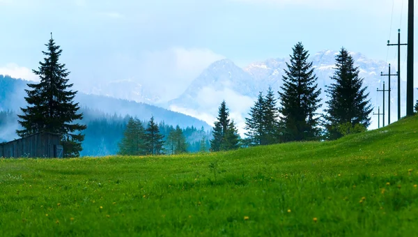 Dolomitas vista montanha verão — Fotografia de Stock