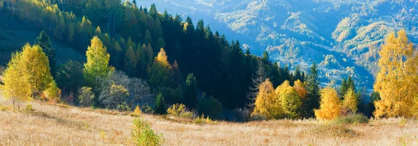 Herbst-Bergpanorama (Karpaten, Ukraine). — Stockfoto