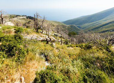 Yaz Llogara pass (Arnavutluk)