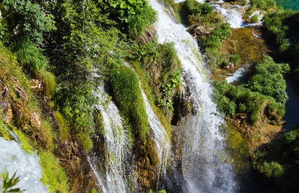 Cachoeiras e gramíneas em Plitvice Lakes National Park (Croácia ) — Fotografia de Stock