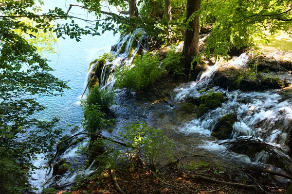 น้ําตกเล็ก ๆ และทะเลสาบในอุทยานแห่งชาติทะเลสาบ Plitvice ( Croati — ภาพถ่ายสต็อก