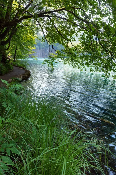 Водопад и чистое озеро через ветки деревьев — стоковое фото