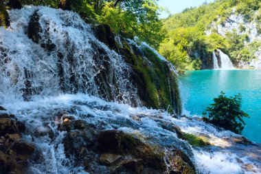 Küçük şelale (portre) Plitvice Gölleri Milli Parkı'nda (Hırvatça