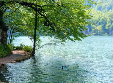 Summer waterfalls and lake (Plitvice, Croatia) clipart