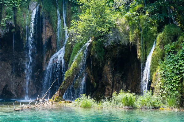 Εθνικού δρυμού Plitvice Lakes (Κροατία) — Φωτογραφία Αρχείου