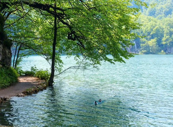 Cachoeiras de verão e lago (Plitvice, Croácia ) — Fotografia de Stock