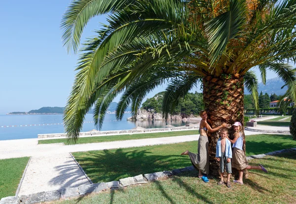 stock image Summer park and family near palm tree (Montenegro)