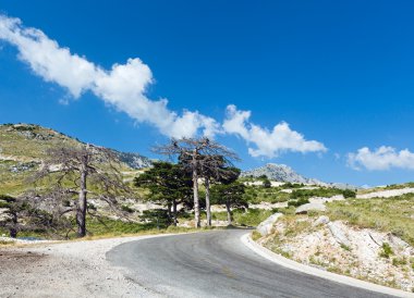 Yaz Llogara pass (Arnavutluk)