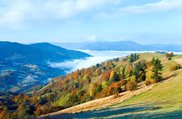 Herbstlicher Bergwald — Stockfoto