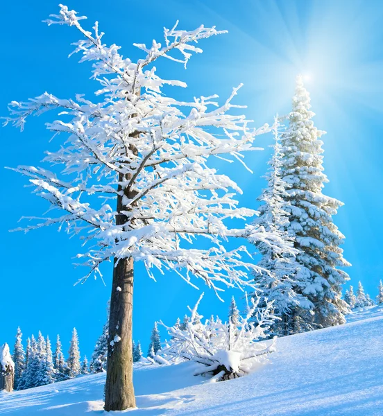 サンシャインの雪に覆われた山の風景 — ストック写真