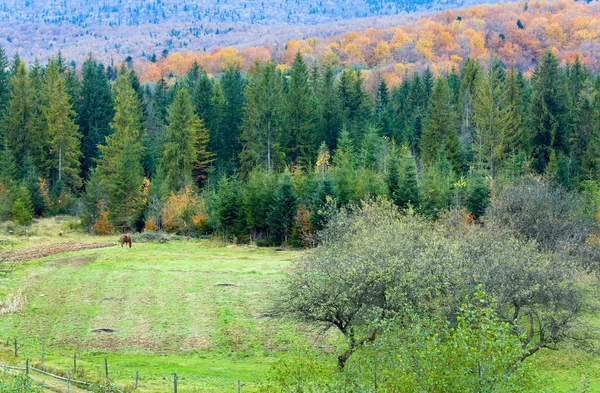 Jesień krajobraz kraju — Zdjęcie stockowe