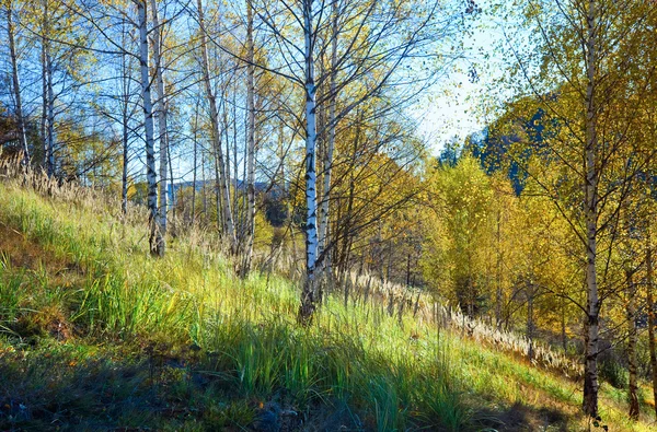 Herfst nimchich bergpas — Stockfoto