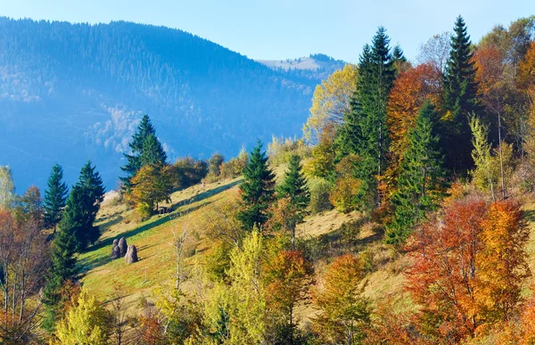 Bosque de montaña de otoño — Foto de Stock