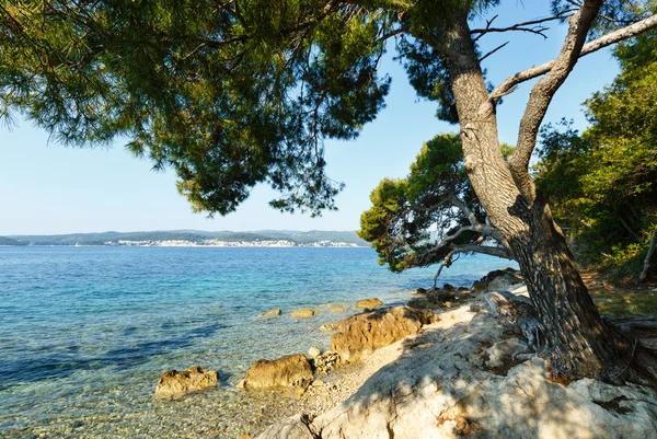 Sommar stenig strand (Kroatien) — Stockfoto