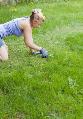 Mowing the lawn clipart