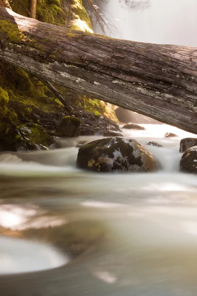 Kar creek falls — Stok fotoğraf