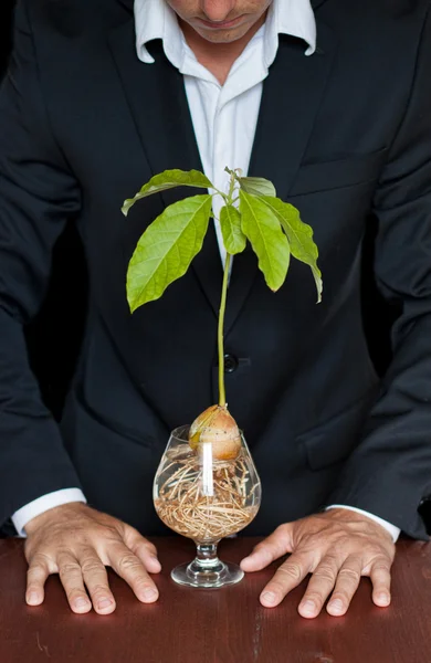Plant rights — Stock Photo, Image