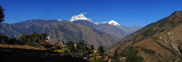 緑の野原、ローカルの家、ヒマラヤ山脈の美しいパノラマ ビュー poonhill トレッキング方法では、ネパールの中に見るとき — ストック写真