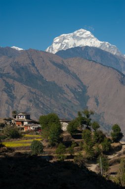 güzel bir yeşil alan, yerel ev ve Himalaya Dağları manzarası gördüğün zaman sırasında poonhill tepe yürüyüş yolu, nepal