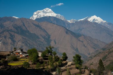 Beautiful view of green field, local house and Himalayan mountains when see during Poonhill peak trekking way, Nepal clipart