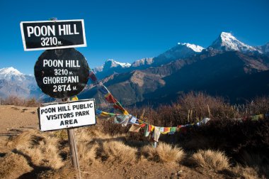 Beautiful view of grass field, colorful flag and Himalayan mountains in morning when see from the top of Poonhill peak, Nepal clipart