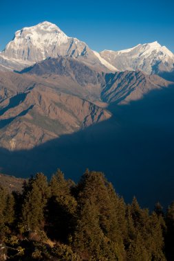 Himalaya Dağları kar sabah ile güzel manzarasını gördüğün zaman ghorepani köyünden, poon tepenin yürüyüş yolu, nepal