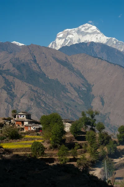 Schöne Aussicht auf grüne Wiese, lokales Haus und Himalaya-Berge, wenn man während Poonhill Peak Trekking Weg, Nepal — Stockfoto