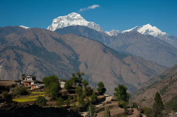 緑の野原、ローカルの家、ヒマラヤの山々 の美しい景色 poonhill ピーク トレッキング方法では、ネパールの中に見るとき — ストック写真