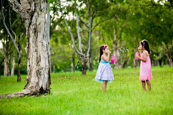 Iki kız kardeş parkta kabarcıklar üfleme — Stok fotoğraf