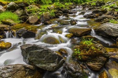 Picture a mountain river flowing among stones clipart