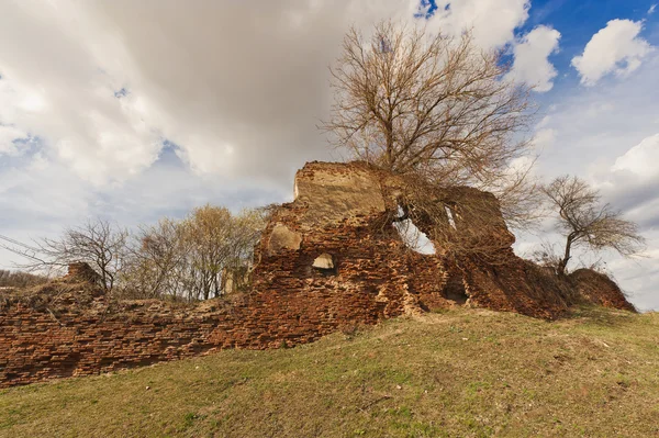 Ruiny starożytnego miasta nawiedzane przez drzewa — Zdjęcie stockowe