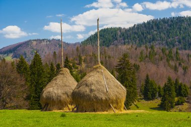 Two Ricks of hay in mountain areas clipart