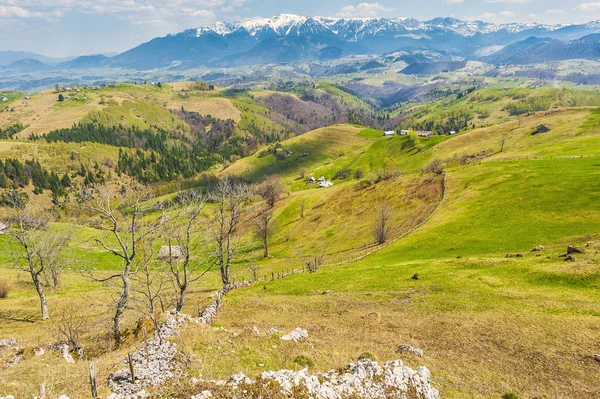 在一个晴朗的天在 sirnea 罗马尼亚山风景 — 图库照片