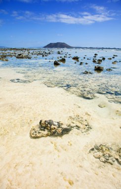 Kuzey fuerteventura, corralejo bayrak Beach ben doğru görünümü