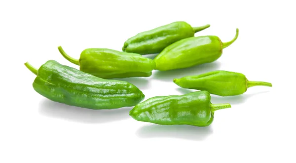 Small "padron peppers", pimiento de padron — Stock Photo, Image