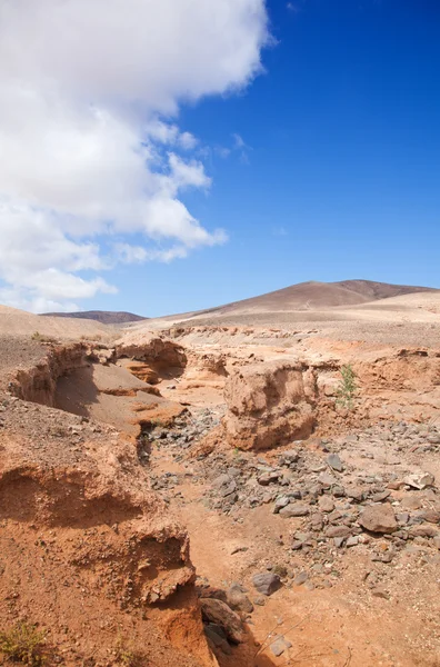Vnitrozemí ostrova fuerteventura, Kanárské ostrovy — Stock fotografie
