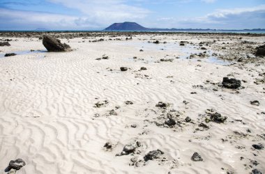 Fuerteventura, Canary Islands, Corralejo Flag Beach clipart