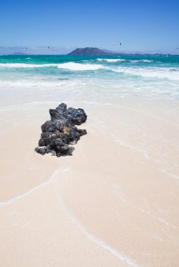 Corralejo Flag Beach clipart